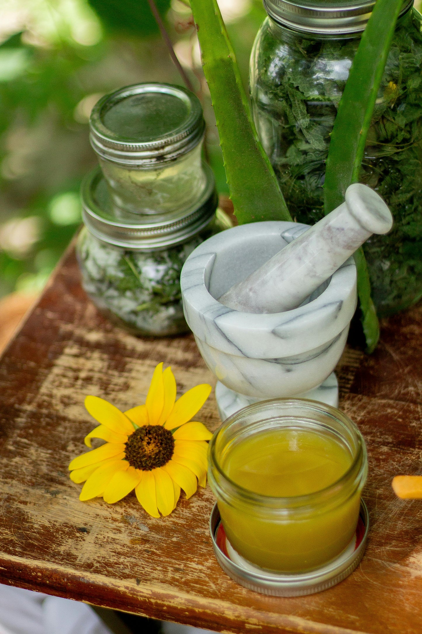 Wound Healing Salve
