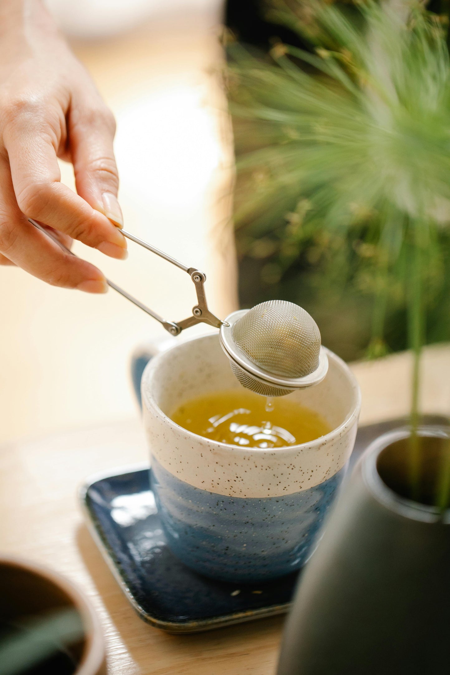 Stainless Steel Tea Ball